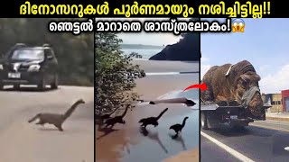 ജീവിച്ചിരിക്കുന്ന ദിനോസറുകൾ! Dinosaurs Explained In Malayalam - Storify