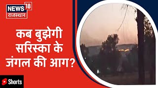 Alwar News | सरिस्का में आग का तांडव चौथे दिन भी जारी | #shorts