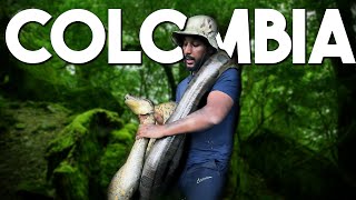 Catching Massive Anacondas in Colombia | #TYFromTheWyld