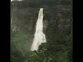 bambarakanda falls sri lanka saffron sri lanka tours