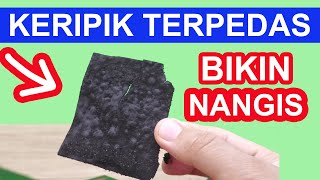 NYOBAIN KERIPIK TERPEDAS BIKIN NANGIS, PUSING, MANDI KERINGAT