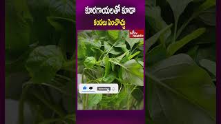 కూరగాయలతో కూడా కండలు పెంచవచ్చా #shorts #vegetablesbenefits #musclesandfitness #musclestrength