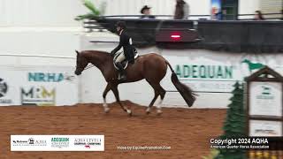 Amateur Working Hunter - 2024 AQHA World Championship Show