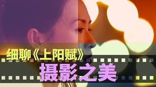 光影的魅力：细聊《上阳赋》摄影之美【科普向】The Beauty of Cinematography in The Repel Princess【章子怡Zhang Ziyi周一围Zhou Yiwei】