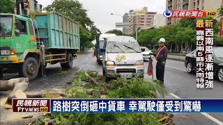 疑大雨、土石鬆軟 樹倒砸車幸駕駛僅驚嚇－民視新聞