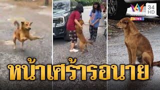 น้ำตาซึม! น้องหมาตกรถ ตากฝนหน้าเศร้ารอเจ้าของ | ข่าวอรุณอมรินทร์ | 24/6/67