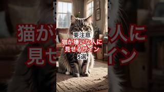 猫が嫌いな人に見せる行動5選 #動物 #雑学 #猫 #ネコ