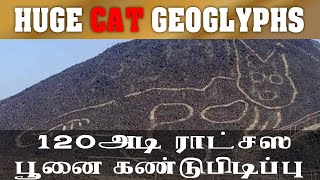 120 அடி ராட்சஸ பூனை  கண்டுபிடிப்பு | Huge cat found etched into desert in Peru | Cat Geoglyphs