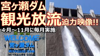 首都圏最大級の宮ヶ瀬ダムでは４月～11月の期間に毎月数回の観光放流が行われています。放流スケジュール等は｢神奈川県立あいかわ公園｣のホームページでご確認下さい。