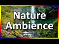 Relaxing Music With Nature And Water Sounds | No Copyright | No Attribution Required