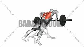 31- زیربغل هالتر خم میز شیب دارbarbell incline row