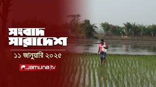 সংবাদ সারাদেশ | Songbad Saradesh | 5 PM | 11 January 2025 | Jamuna TV