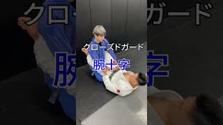 【強力】腕十字のやり方