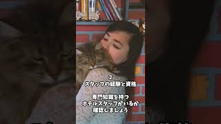 愛猫のためのペットホテル選び方ガイド！猫が喜ぶポイント