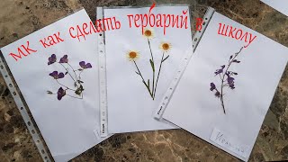 МК как сделать гербарий в школу / DIY