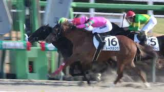 【新馬戦】9番人気のドルンレースツェンを池添謙一が勝利に導く‼ 現地映像