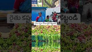 తెలుగులో ఆరోగ్య చిట్కాలు | మన ఆహారం - మన ఆరోగ్యం