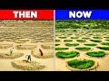 Transforming the Sahara: How Africa's Great Green Wall is Reclaiming Land and Livelihoods