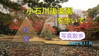 小石川後楽園【紅葉】を歩いて～写真散歩～2022年11月