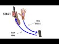 reload workspace index height super scientific reload study 10.0