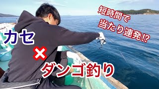 【筏釣り 海香】短時間で当たり連発⁉︎カセでダンゴ釣りしてみました！