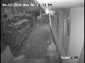 കുറുക്കൻ കുറുനരി കോഴികളെ പിടിക്കുന്നു clever fox catching my chickens cctv footage