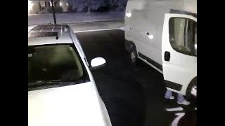 Kalamazoo County Theft Suspect
