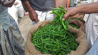 পাবনা ধুলাউড়ি বাজারে আজকে কাঁচা মরিচের পাইকারি বাজার দাম | vaillage maeket BD.