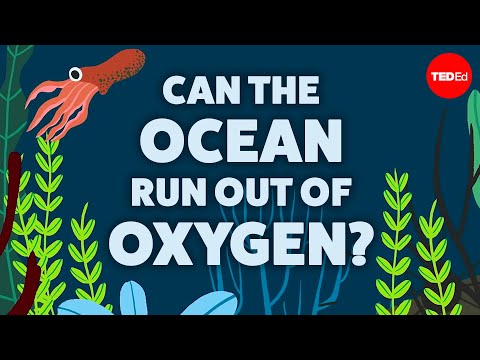 Where are the dead zones in the ocean?