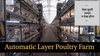 Full Automatic Layer Poultry Farm || Battery Cage System || ऐसा फार्म न देखा होगा || Hello Kisaan