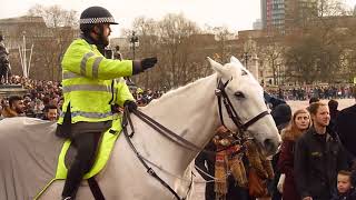 A Lovely Grey Horse and Mounted Police Officer