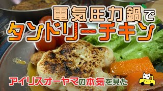 【週末里山料理VLOG】電気圧力鍋でタンドリーチキン【プラベキャンプ場と猫と糖尿病食】アイリスオーヤマの本気を見た