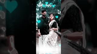 #rvseditz..😎VILLAGE STYLE VIDEO EDITTING...WHATSAPP STATUS... 😇IN TAMIL😇😇😇.. SANDAKOZI MOVIE SONG...