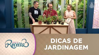 Crie seu Jardim dos Sonhos: dicas baratas para uma colheita farta | Jardinagem