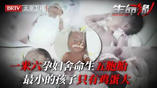 一米六孕妇舍命生下五胞胎,怀孕7个月早产,最小的孩子只有小鸡蛋大,医生惊叹奇迹【生命缘 2017】