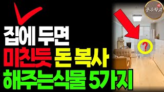 부자들이 몰래 키운다는 '이 식물' 집에 두면 미친 듯 돈 복사해줍니다. | 부자되는법 | 풍수인테리어 | 풍수 식물 | 풍수지리 | 풍수지리 인테리어