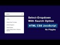 How to Create Custom Select Dropdown with Search option using Vanilla JavaScript and JSON data