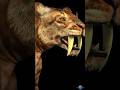 Saber-Tooth Tigers: The Mystery of Their Extinction