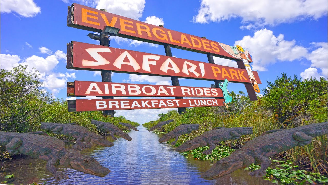 Everglades Safari Florida 4k Youtube