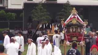 平成27年大磯 海水浴場の海開き式 神輿海中渡御です。