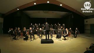 Vienn'Artistic Orchestra | Hymn to freedom - Thierry Deleruyelle