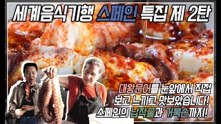 《세계음식기행》 스페인 특집 제 2탄 | 스페인의 고급해산물들 여기 다 모여있습니다! 납작굴, 거북손, 대왕문어까지 그 맛의 향연이 궁금하시다면 들어오세요!