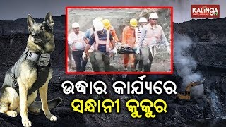 Talcher MCL Landslide: Rescue operation underway | Kalinga TV