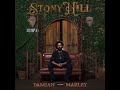 Damian Marley - The Struggle Discontinues (Stony Hill Album 2017) [Bass Boosted]