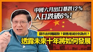 (中字) 中國六月美金計價出口暴跌12%、入口跌破6％！顯示出何種趨勢？銷售增減分別為何？透露出未來十年將如何發展！《蕭若元：理論蕭析》2023-07-17