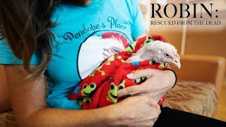 Robin: Rescued From the Dead (With Subtitles) Documentary