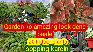 February m sopping karein beautiful look indoor plants ki लोग कहेंगे हमें भी लादों ये पौधे👌 सालोंसाल