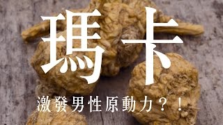 【問專家】瑪卡激發男性原動力？！