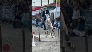 Working Equitation 🇵🇹Istambul \u0026 Bruno Pica 2024 Golegã #horse #equitation #equestrian