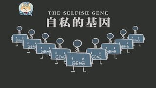 【读书】生命的本质是什么？6分钟速读《自私的基因》(The Selfish Gene)丨柴知道ChaiKnows